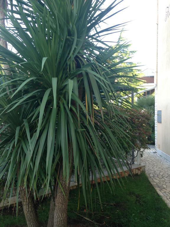Apartments Villa Kristina Pula Zewnętrze zdjęcie